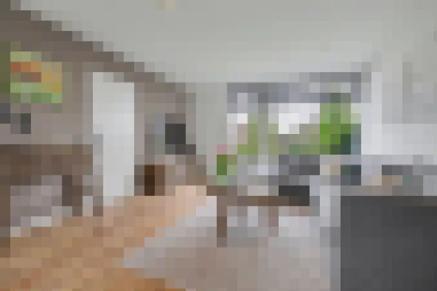 Zandstraat 31 Casteren thumbnail 9