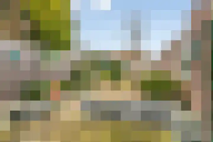 Zandstraat 32 Veenendaal thumbnail 33