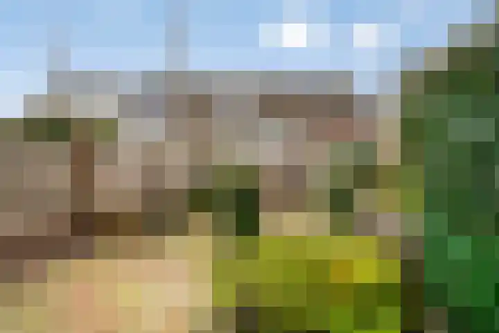 Zandstraat 32 Veenendaal thumbnail 34
