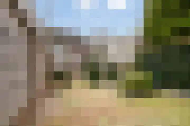Zandstraat 32 Veenendaal thumbnail 35