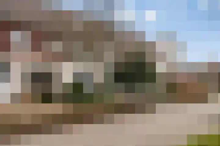 Zandstraat 32 Veenendaal thumbnail 39