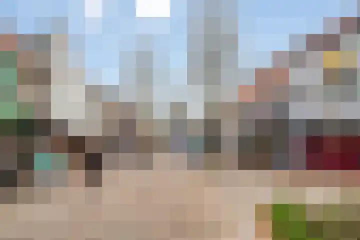 Zandstraat 32 Veenendaal thumbnail 44