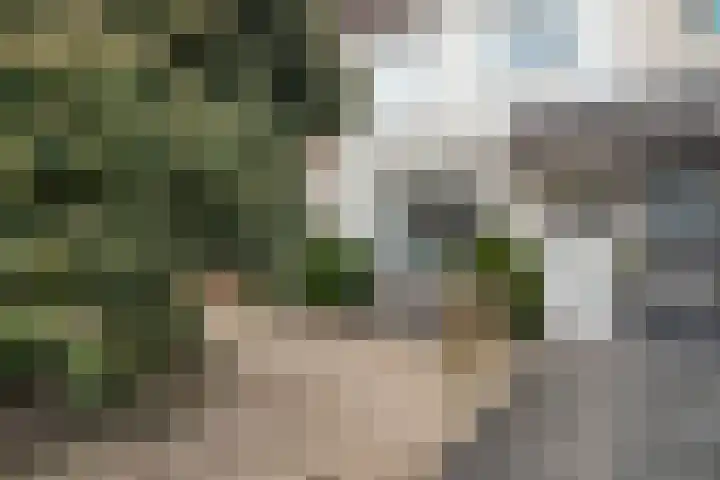 Zandstraat 32 Veenendaal thumbnail 6