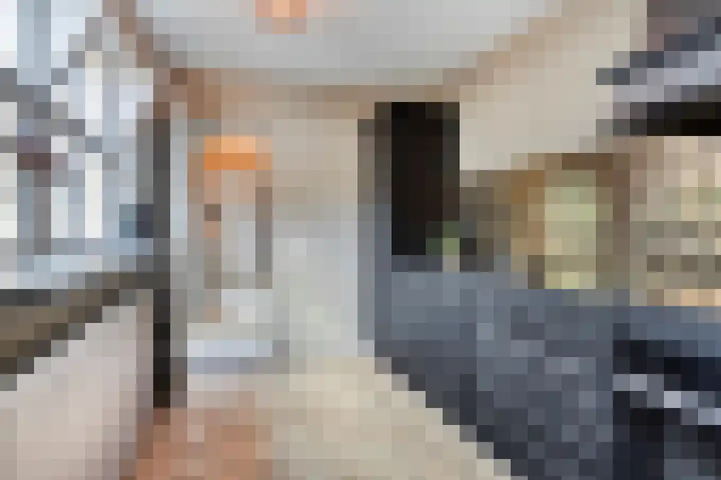 Zandstraat 35 Veenendaal thumbnail 29