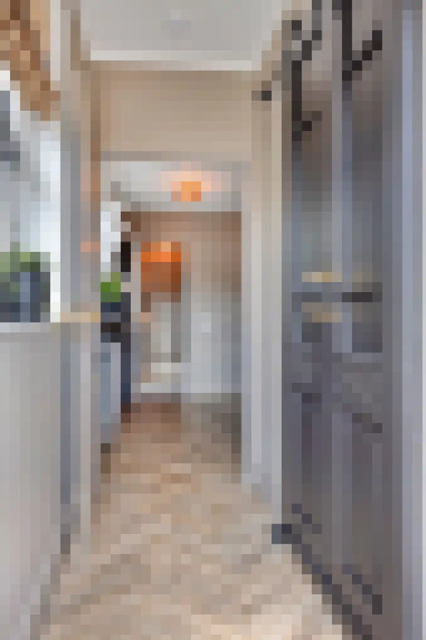 Zandstraat 35 Veenendaal thumbnail 31