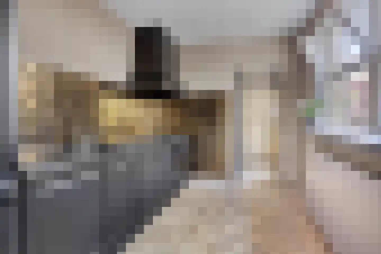 Zandstraat 35 Veenendaal thumbnail 4