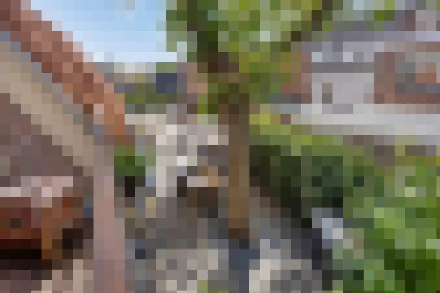 Zandstraat 35 Veenendaal thumbnail 43