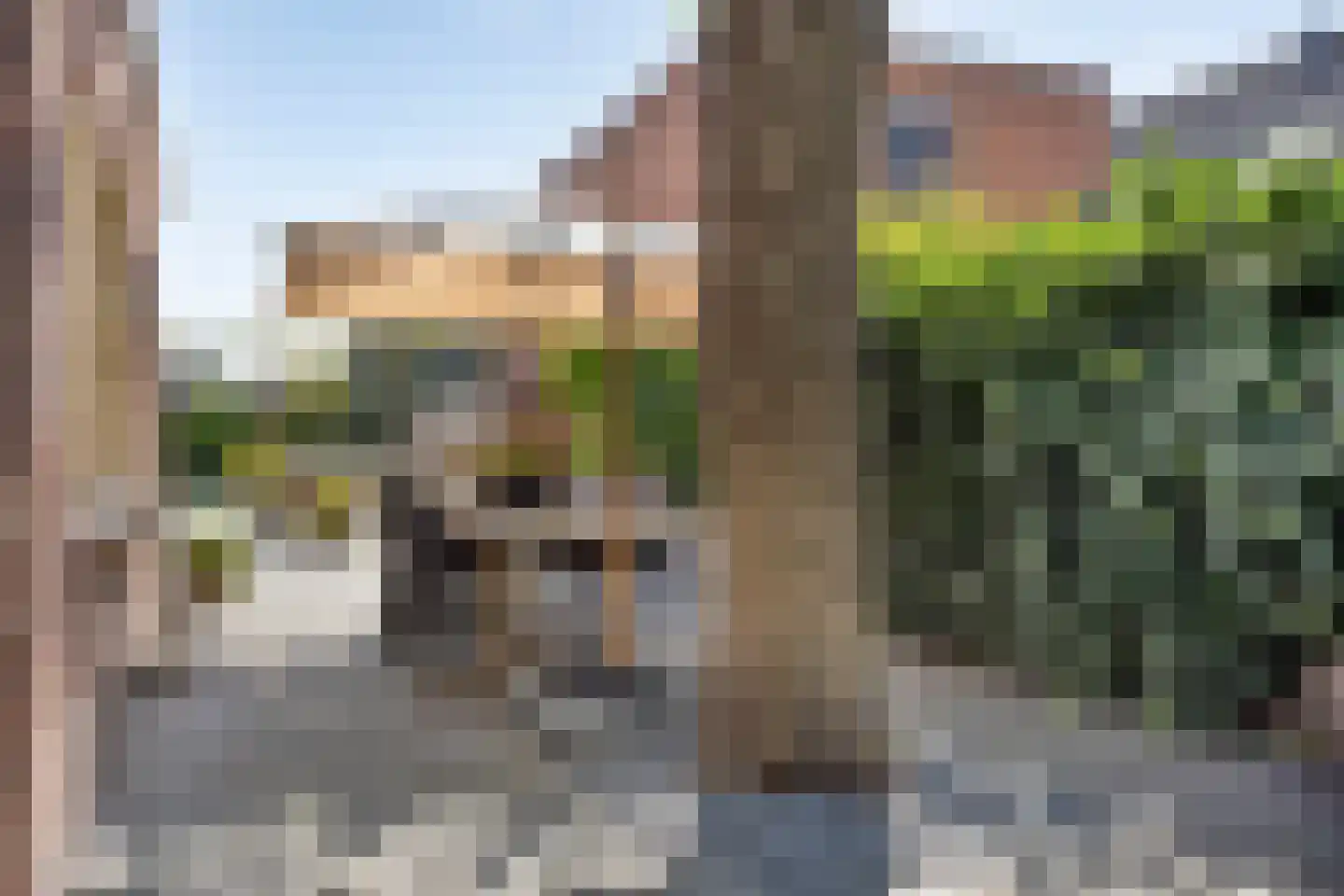 Zandstraat 35 Veenendaal thumbnail 65