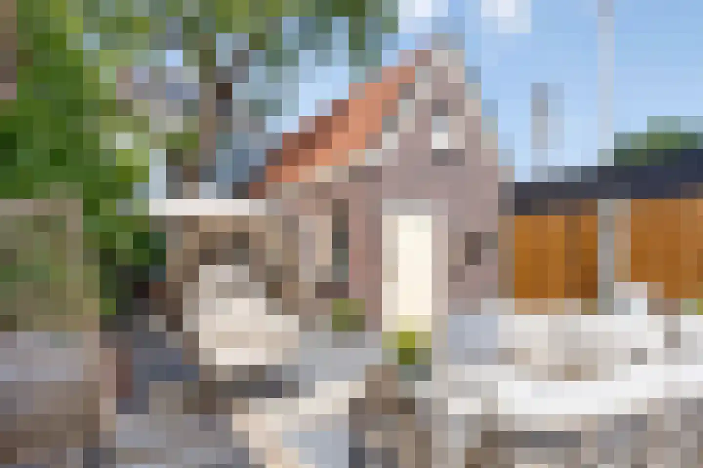 Zandstraat 35 Veenendaal thumbnail 69