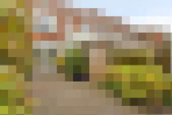 Zandstraat 37 Bergen op Zoom thumbnail 34