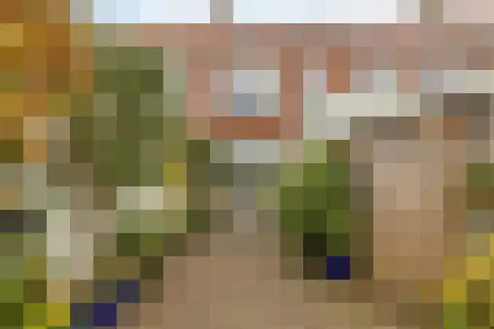 Zandstraat 37 Bergen op Zoom thumbnail 35