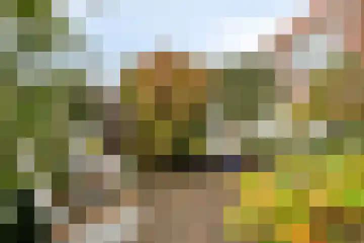 Zandstraat 37 Bergen op Zoom thumbnail 36