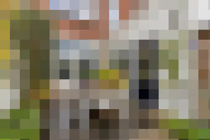 Zandstraat 37 Bergen op Zoom thumbnail 37