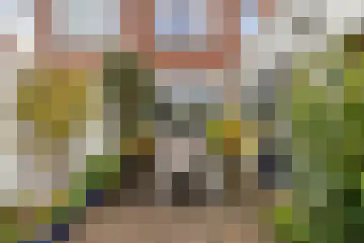Zandstraat 37 Bergen op Zoom thumbnail 38