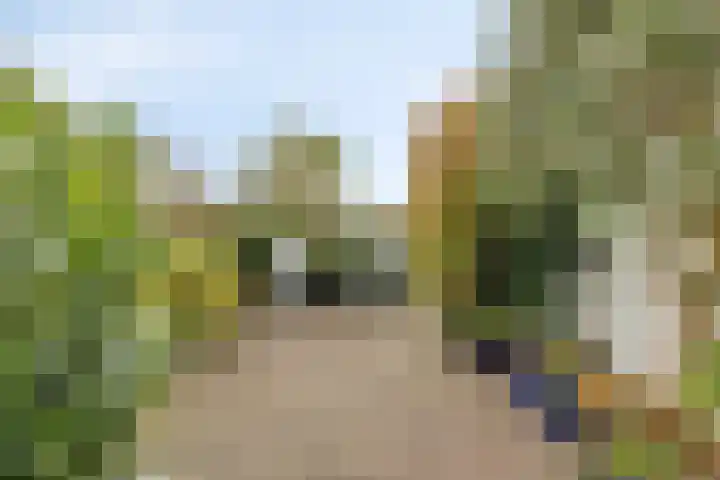 Zandstraat 37 Bergen op Zoom thumbnail 41