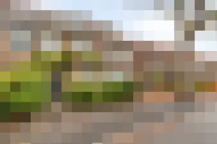 Zandstraat 37 Bergen op Zoom thumbnail 45