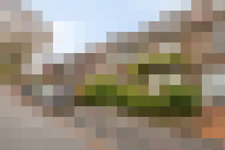 Zandstraat 37 Bergen op Zoom thumbnail 46