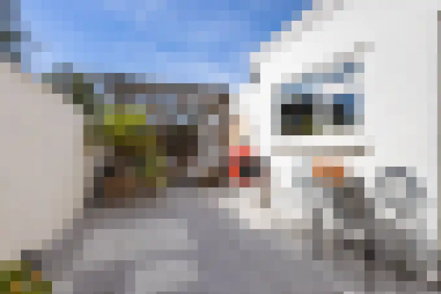 Zandstraat 39 Bergen op Zoom thumbnail 15