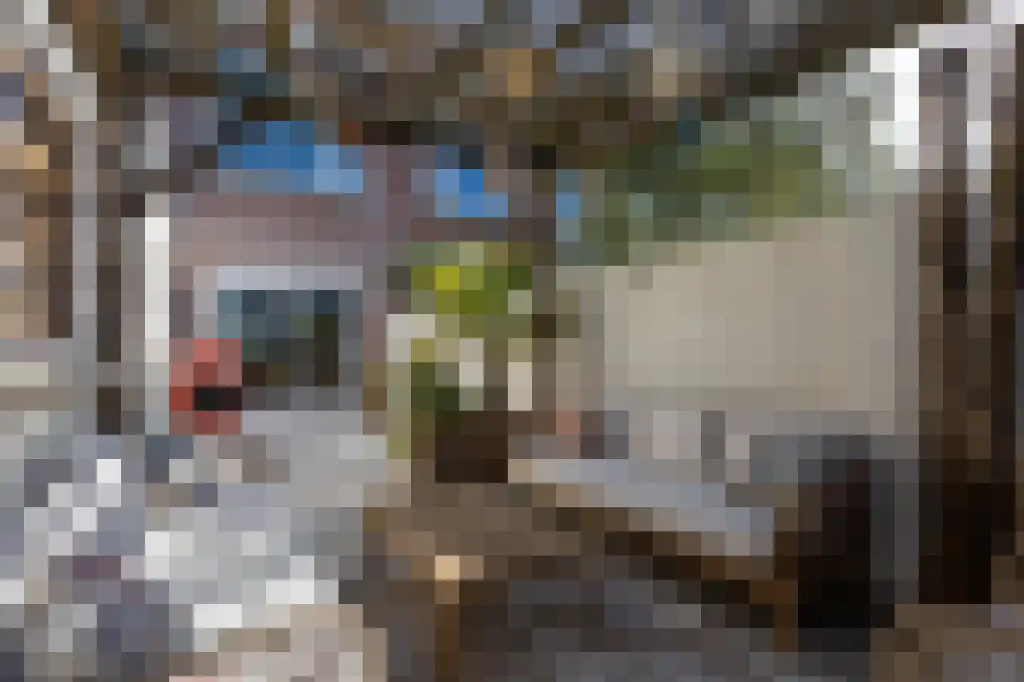Zandstraat 39 Bergen op Zoom thumbnail 17