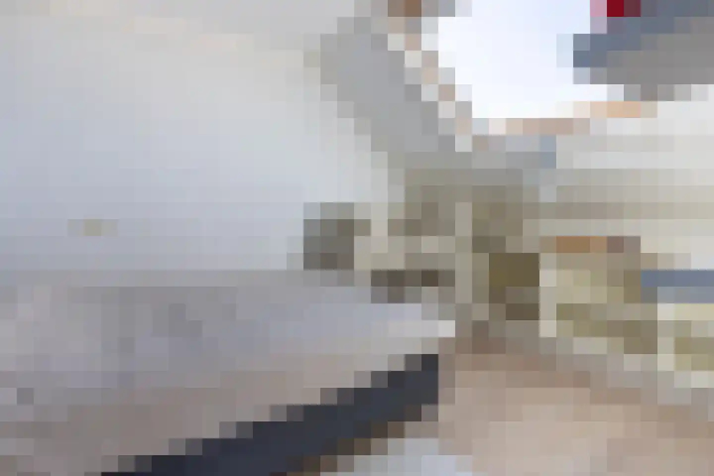 Zandstraat 39 Bergen op Zoom thumbnail 31