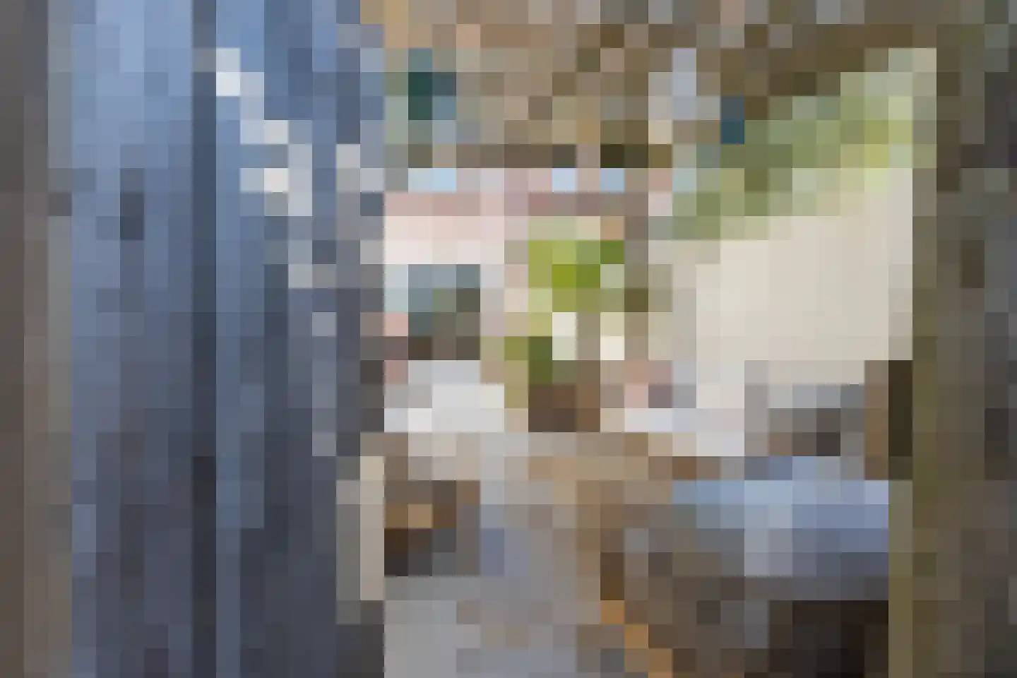 Zandstraat 39 Bergen op Zoom thumbnail 32