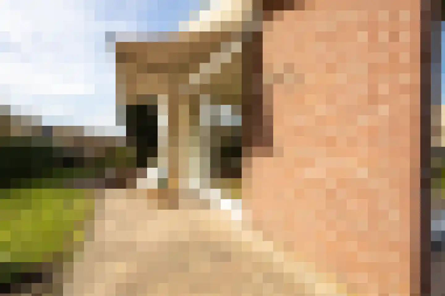 Zandstraat 39 Hulst thumbnail 23