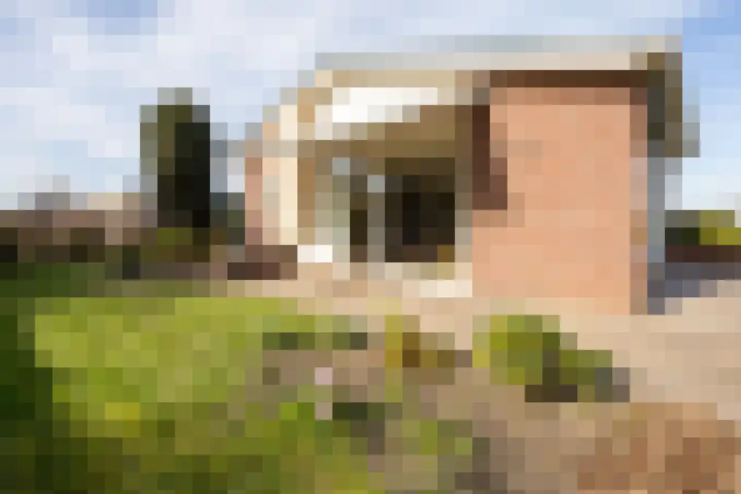Zandstraat 39 Hulst thumbnail 24