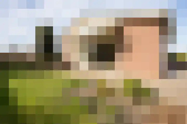 Zandstraat 39 Hulst thumbnail 24