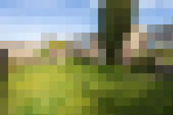 Zandstraat 39 Hulst thumbnail 27