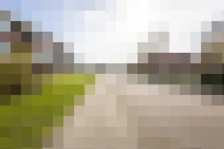 Zandstraat 39 Hulst thumbnail 29
