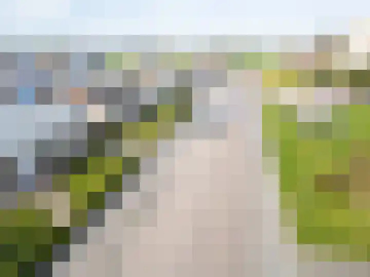 Zandstraat 39 Hulst thumbnail 32