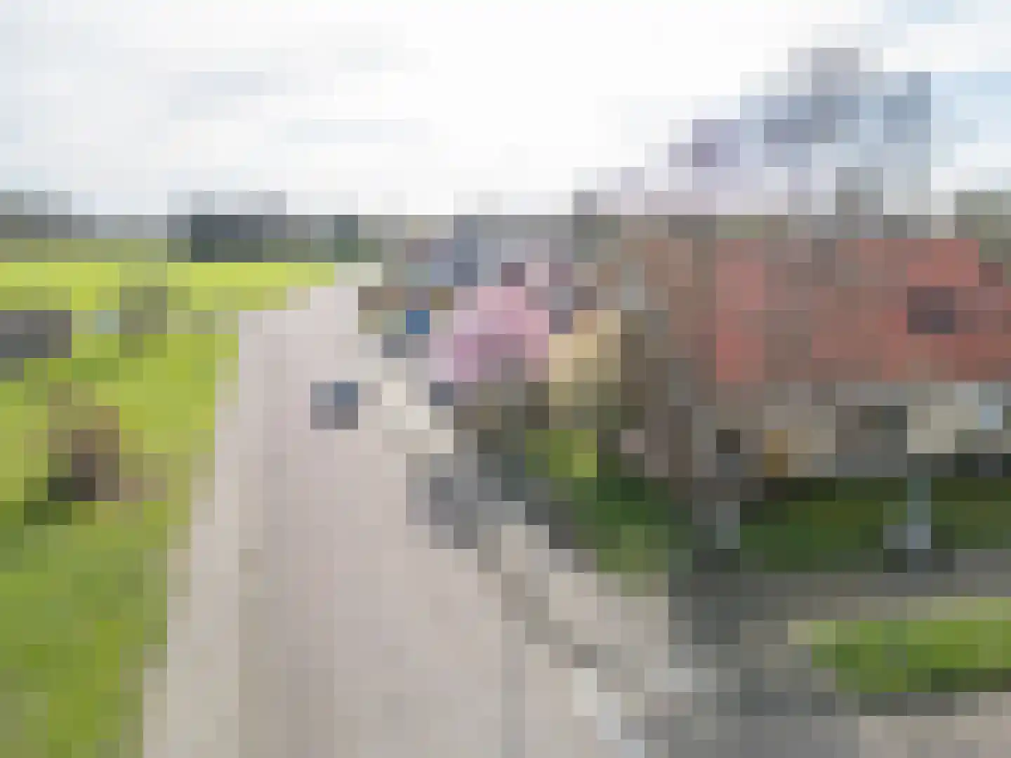 Zandstraat 39 Hulst thumbnail 33