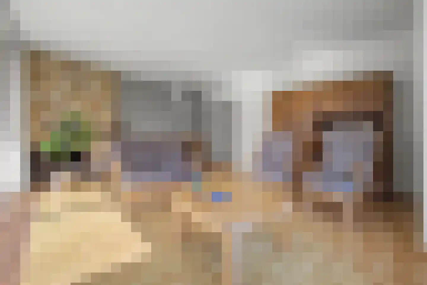 Zandstraat 39 Hulst thumbnail 8