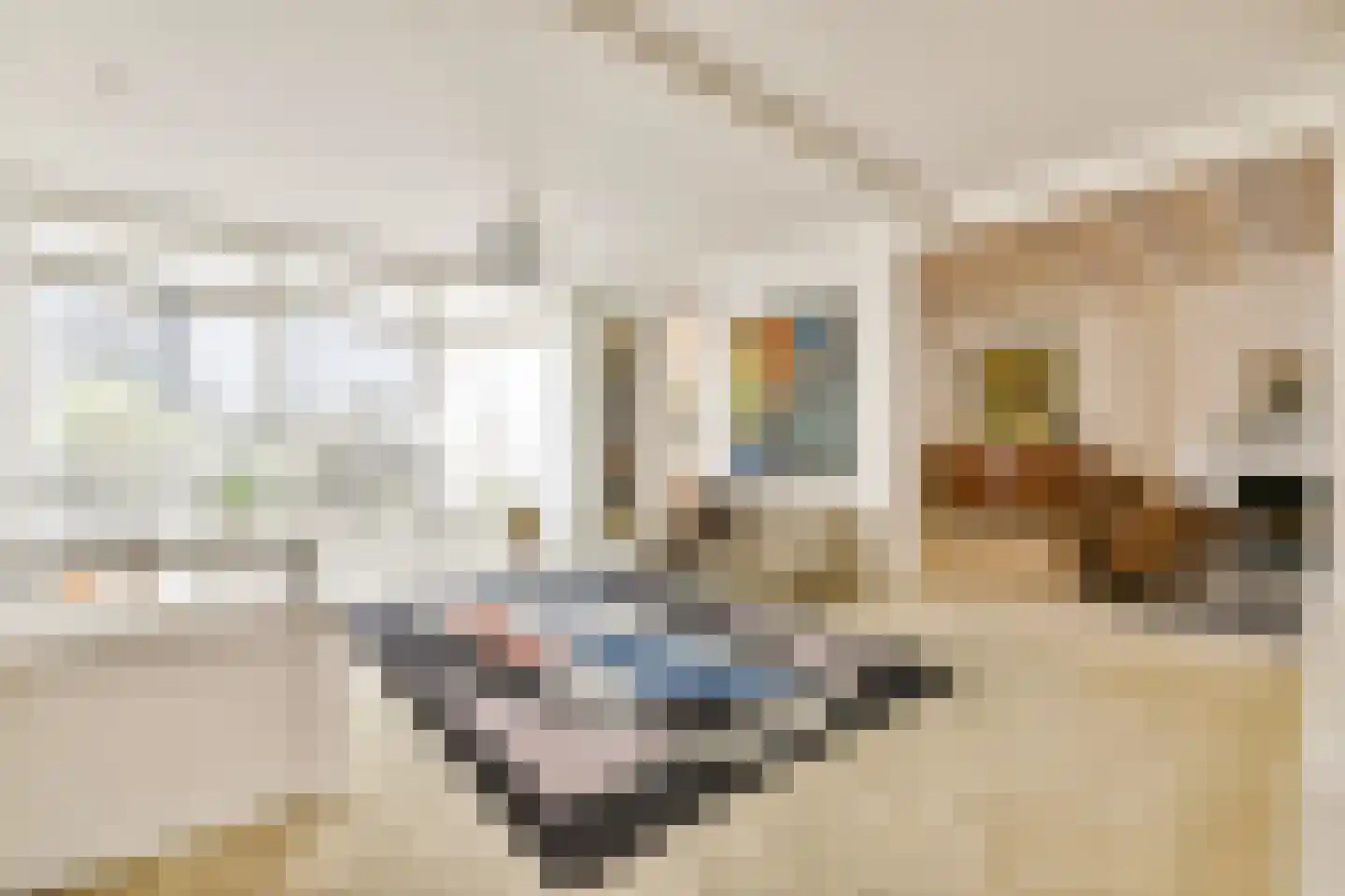 Zandstraat 4 2 Amsterdam thumbnail 31