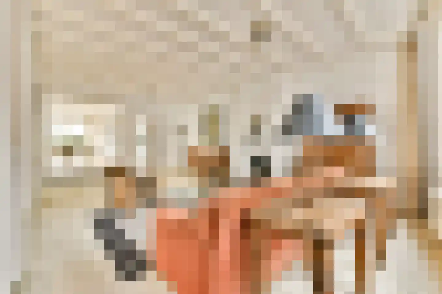Zandstraat 4 2 Amsterdam thumbnail 37