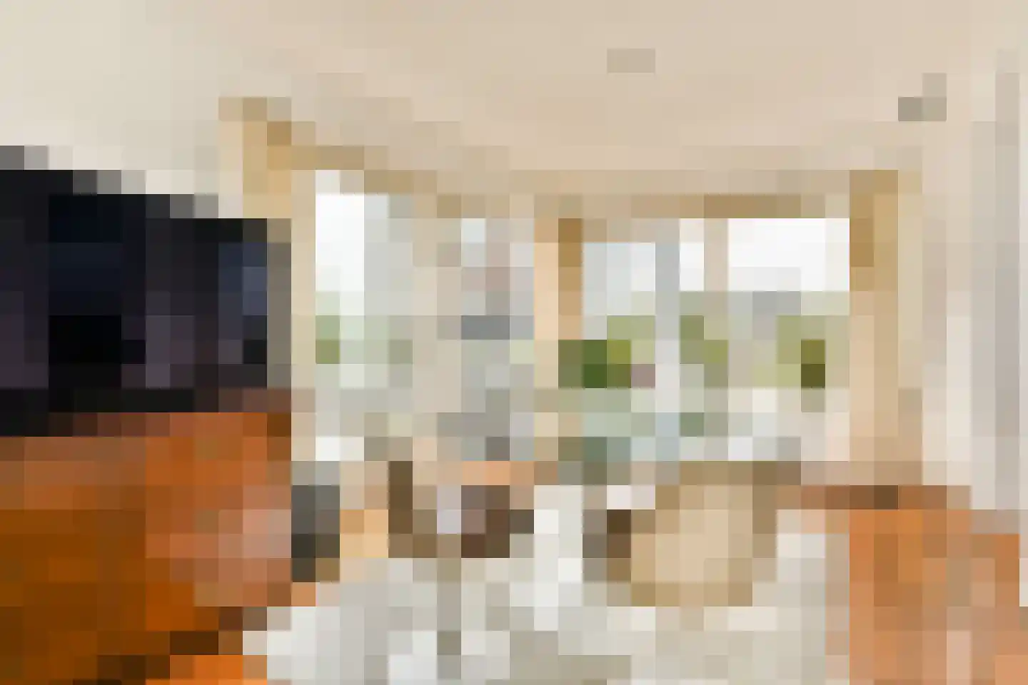 Zandstraat 4 2 Amsterdam thumbnail 38