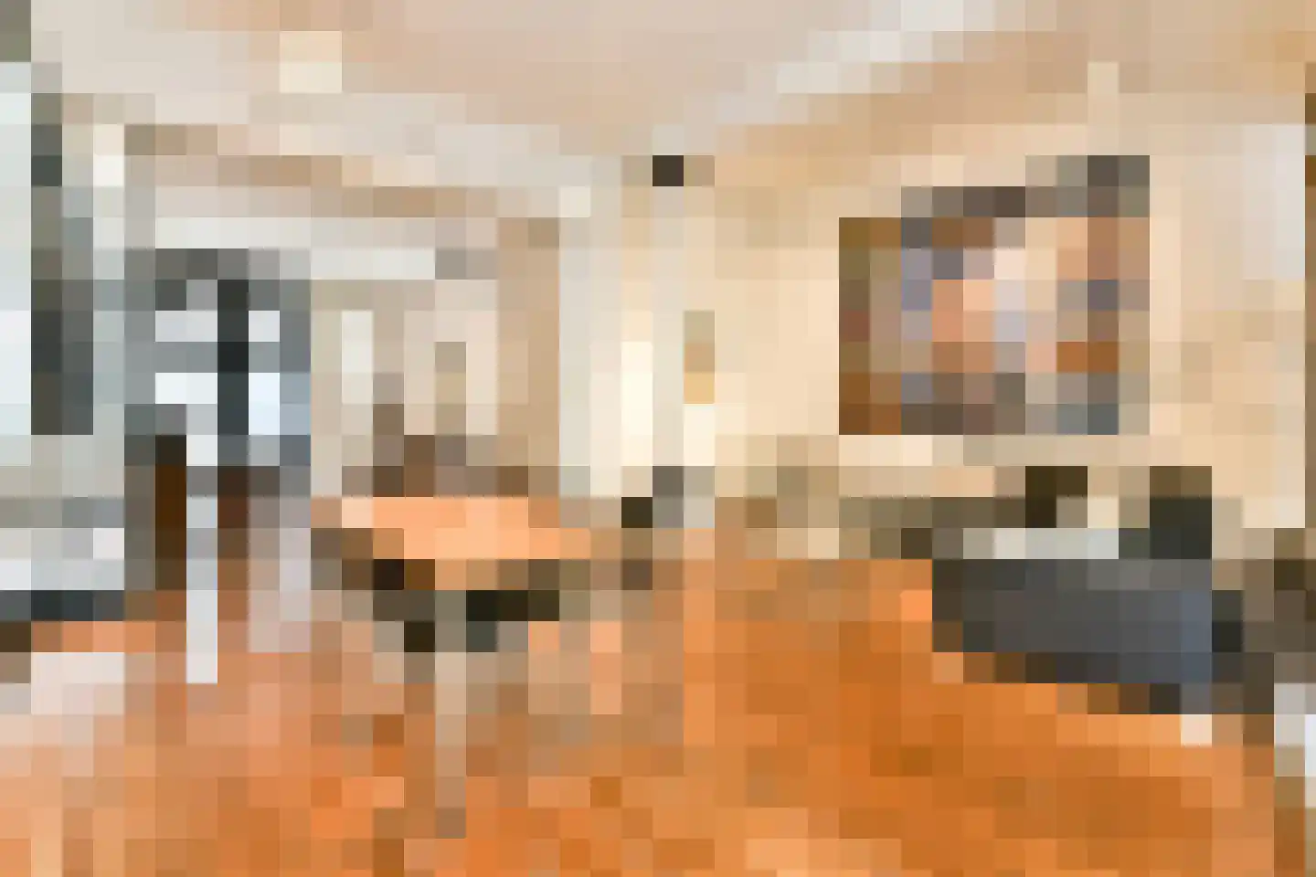 Zandstraat 4 2 Amsterdam thumbnail 4