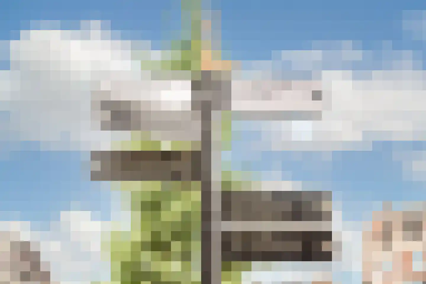 Zandstraat 4 2 Amsterdam thumbnail 52