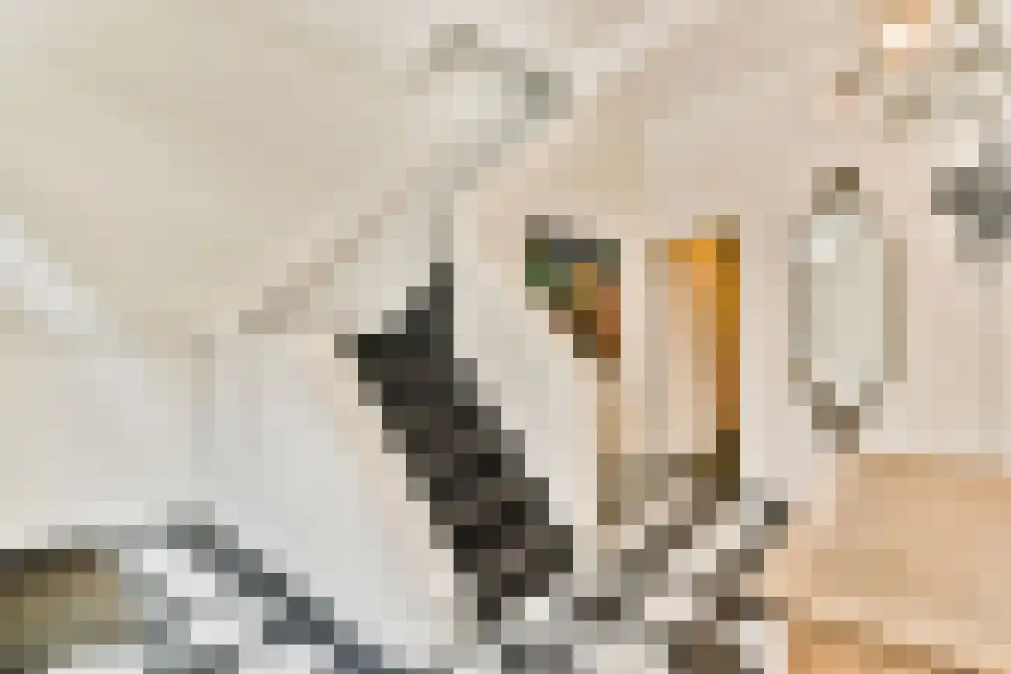 Zandstraat 4 2 Amsterdam thumbnail 6