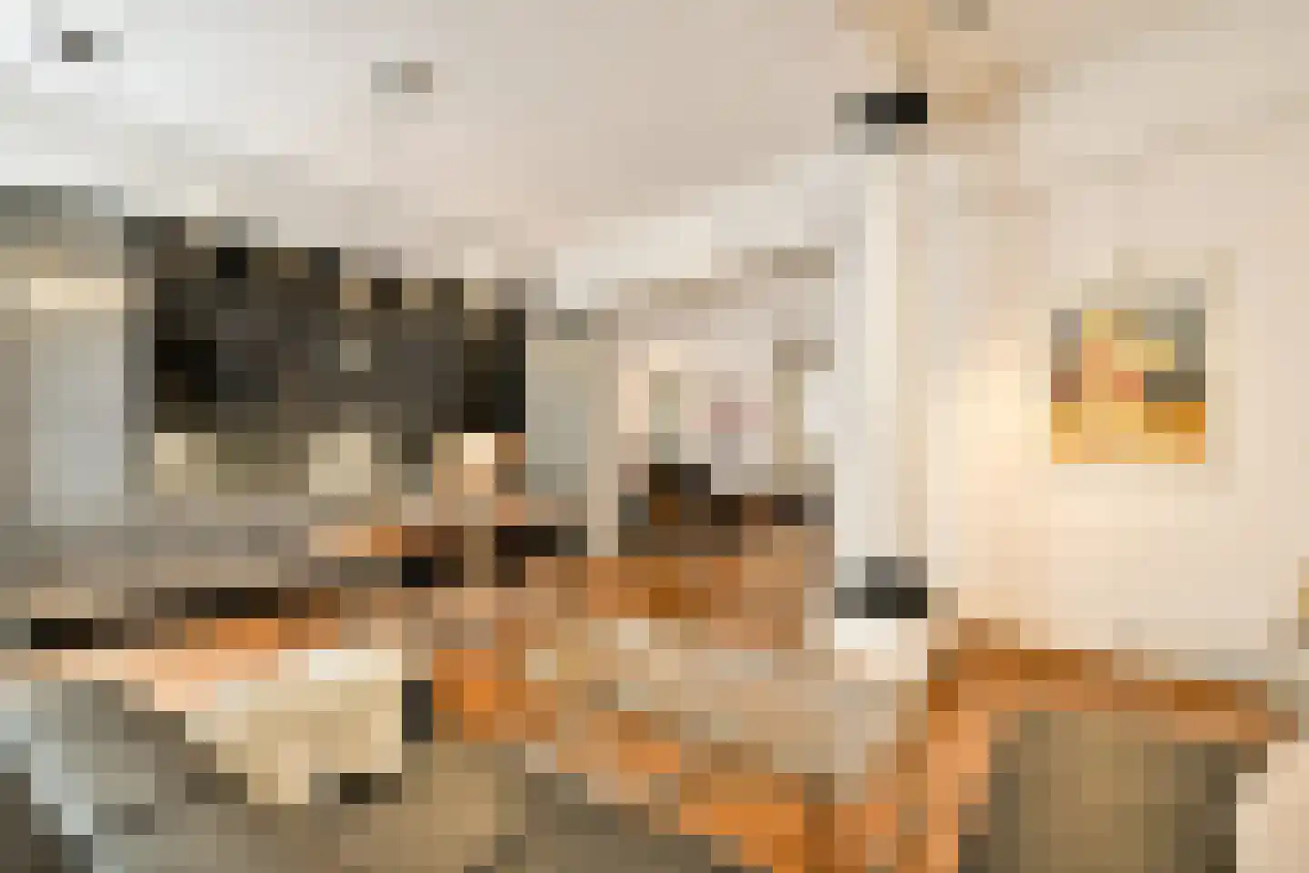 Zandstraat 4 2 Amsterdam thumbnail 9