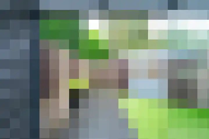 Zandstraat 4 b Liessel thumbnail 32