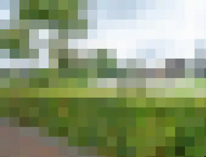 Zandstraat 4 b Liessel thumbnail 34