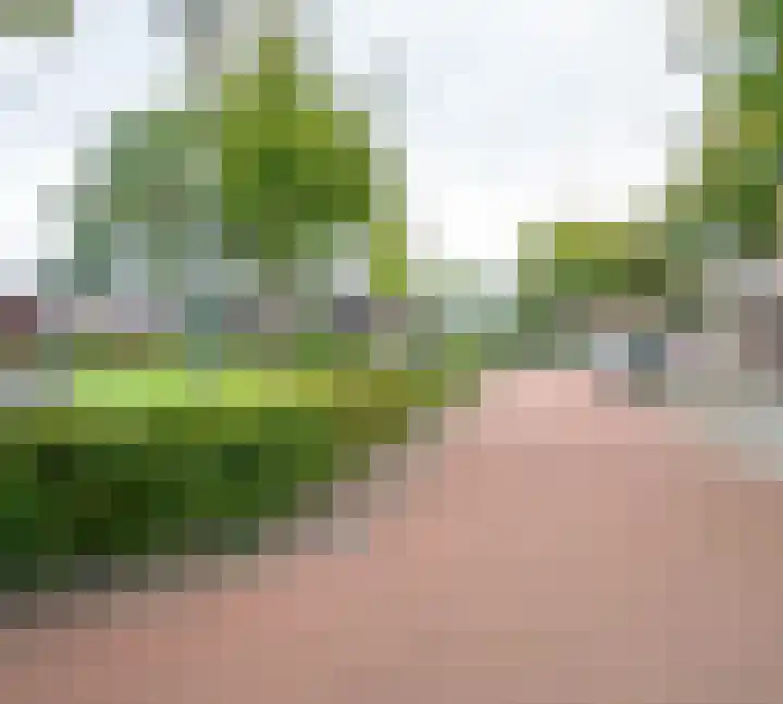 Zandstraat 4 b Liessel thumbnail 35