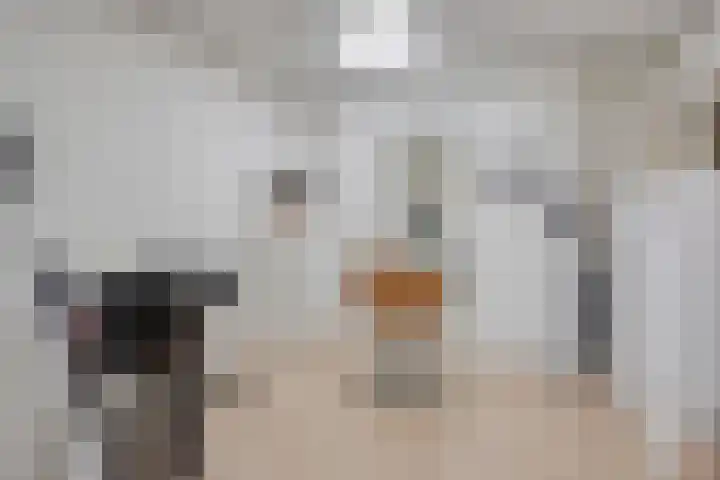 Zandstraat 4 Gennep thumbnail 13