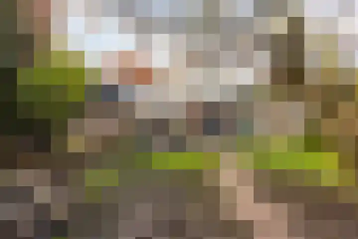 Zandstraat 4 Gennep thumbnail 29