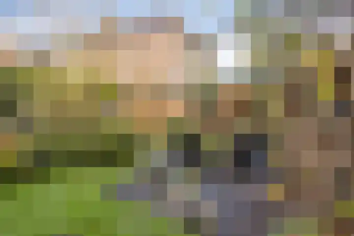 Zandstraat 4 Gennep thumbnail 32