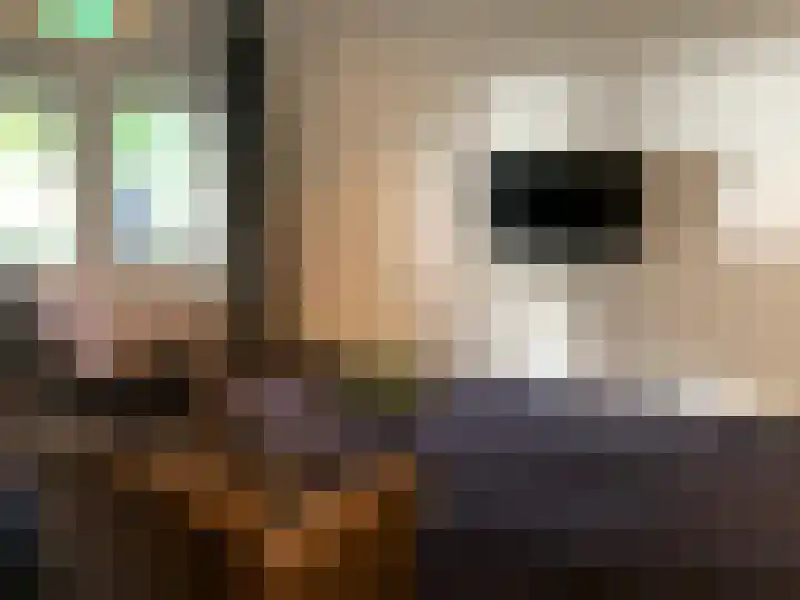 Zandstraat 4 Kerkdriel thumbnail 11