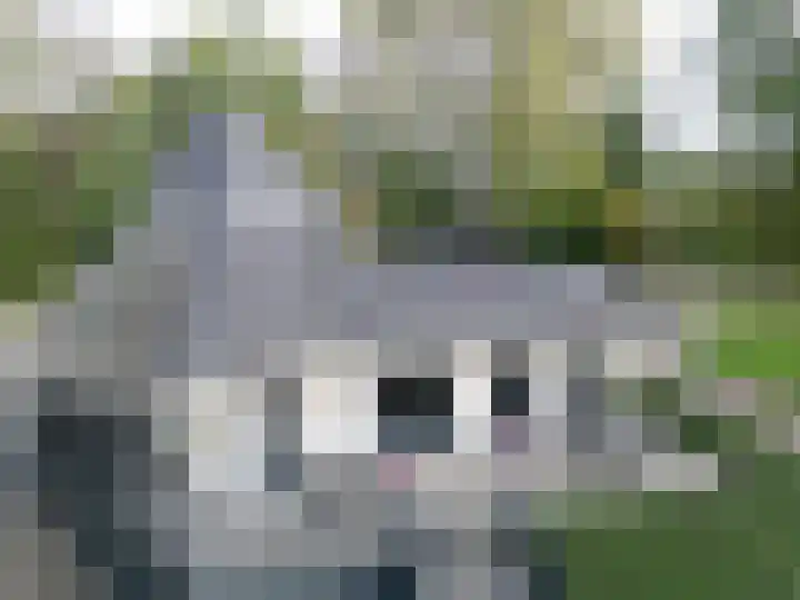 Zandstraat 4 Kerkdriel thumbnail 29