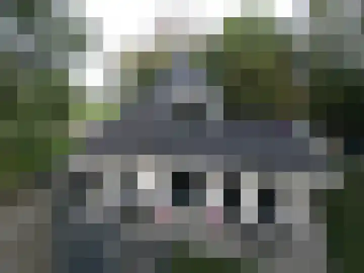 Zandstraat 4 Kerkdriel thumbnail 30