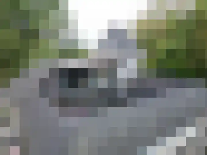 Zandstraat 4 Kerkdriel thumbnail 31